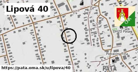 Lipová 40, Pata