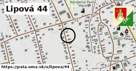 Lipová 44, Pata