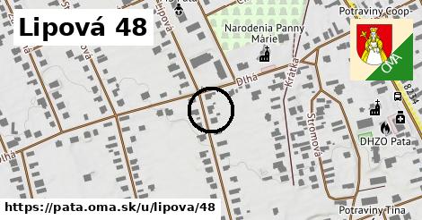 Lipová 48, Pata