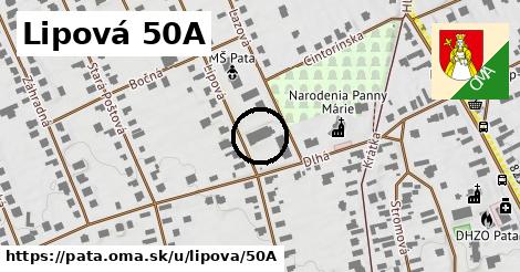 Lipová 50A, Pata