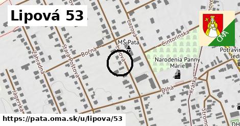 Lipová 53, Pata