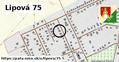 Lipová 75, Pata