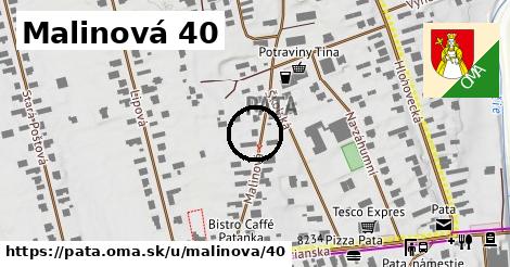 Malinová 40, Pata