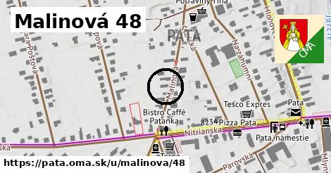 Malinová 48, Pata