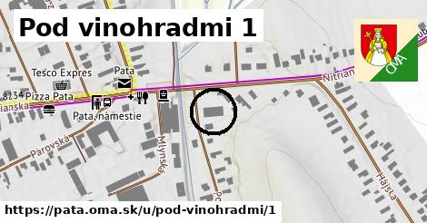 Pod vinohradmi 1, Pata