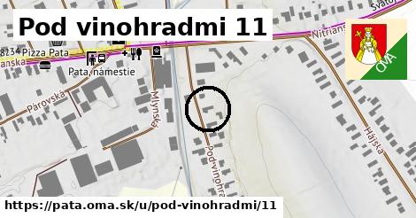 Pod vinohradmi 11, Pata