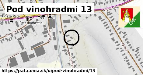 Pod vinohradmi 13, Pata