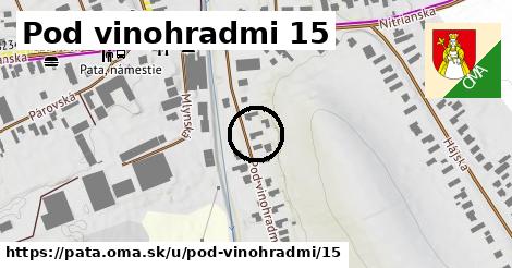 Pod vinohradmi 15, Pata