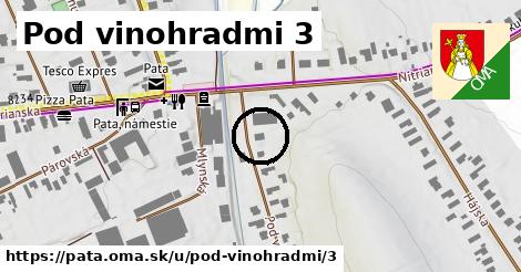 Pod vinohradmi 3, Pata