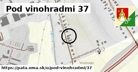 Pod vinohradmi 37, Pata