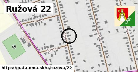 Ružová 22, Pata