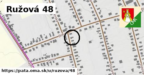 Ružová 48, Pata