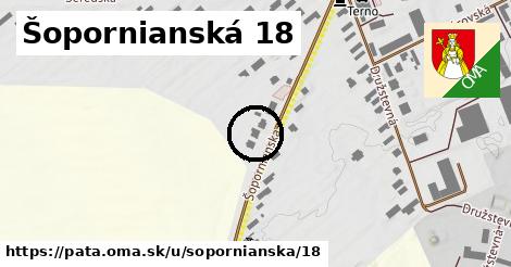 Šopornianská 18, Pata