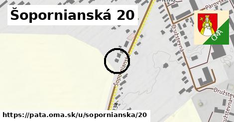 Šopornianská 20, Pata