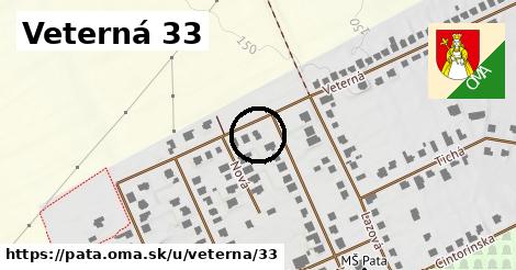 Veterná 33, Pata