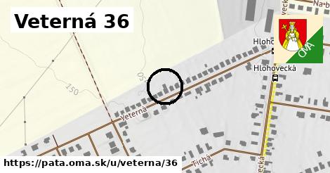 Veterná 36, Pata
