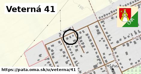 Veterná 41, Pata