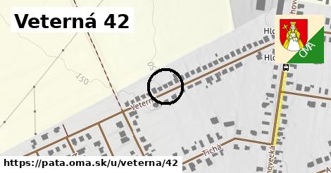 Veterná 42, Pata