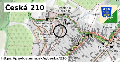 Česká 210, Pavlov