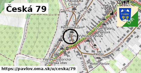 Česká 79, Pavlov