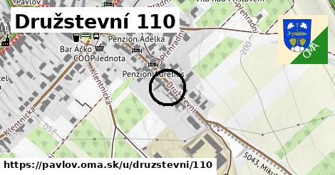 Družstevní 110, Pavlov