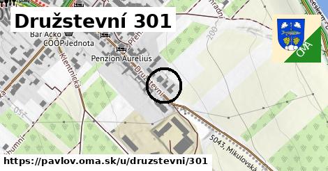 Družstevní 301, Pavlov