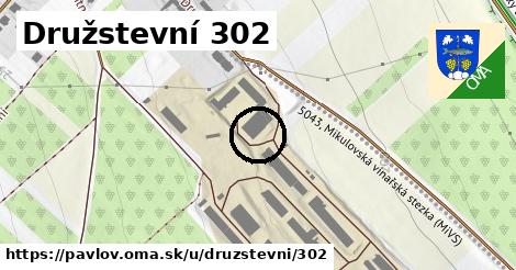 Družstevní 302, Pavlov