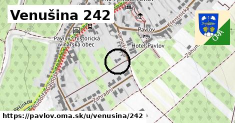 Venušina 242, Pavlov