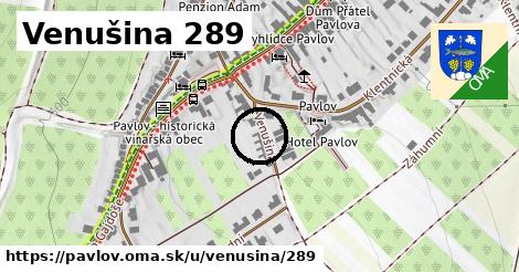 Venušina 289, Pavlov