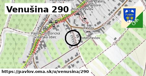 Venušina 290, Pavlov