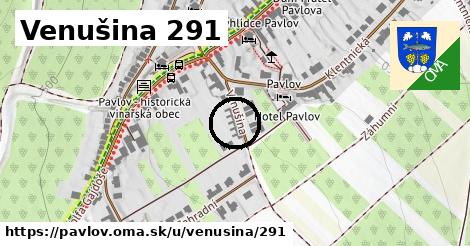 Venušina 291, Pavlov