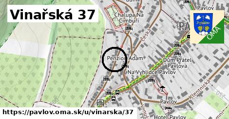 Vinařská 37, Pavlov