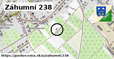Záhumní 238, Pavlov