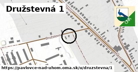 Družstevná 1, Pavlovce nad Uhom