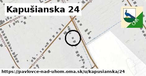 Kapušianska 24, Pavlovce nad Uhom