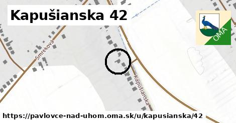 Kapušianska 42, Pavlovce nad Uhom