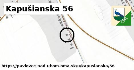 Kapušianska 56, Pavlovce nad Uhom