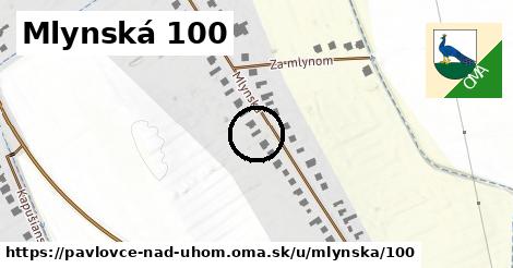 Mlynská 100, Pavlovce nad Uhom