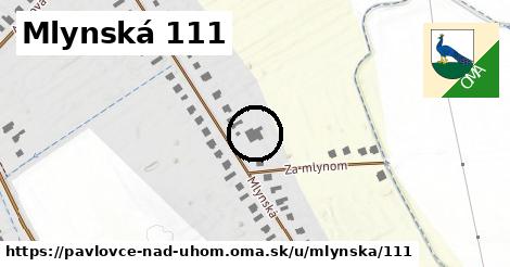 Mlynská 111, Pavlovce nad Uhom