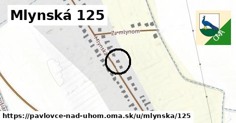 Mlynská 125, Pavlovce nad Uhom