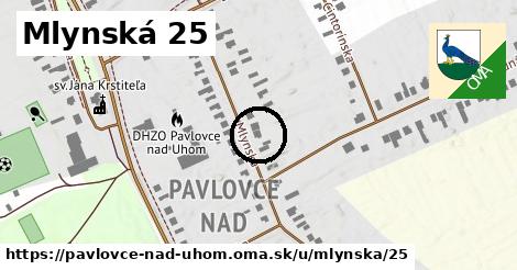 Mlynská 25, Pavlovce nad Uhom