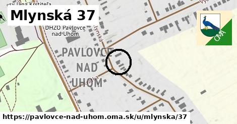 Mlynská 37, Pavlovce nad Uhom