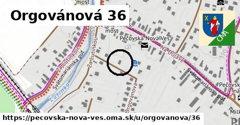 Orgovánová 36, Pečovská Nová Ves