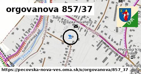 orgovanova 857/37, Pečovská Nová Ves