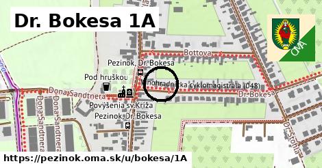 Dr. Bokesa 1A, Pezinok