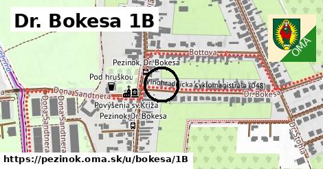 Dr. Bokesa 1B, Pezinok