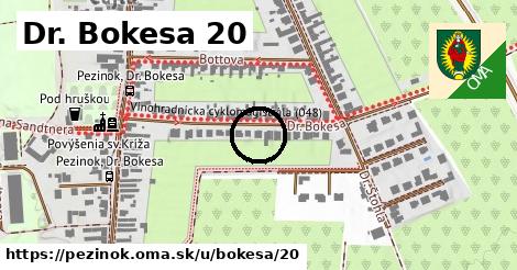 Dr. Bokesa 20, Pezinok