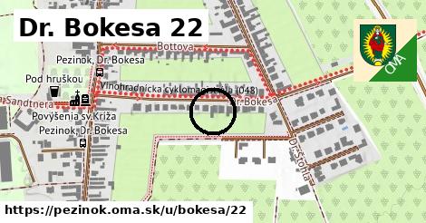 Dr. Bokesa 22, Pezinok