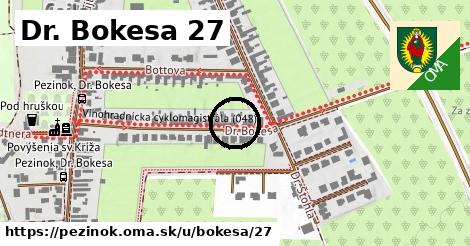 Dr. Bokesa 27, Pezinok