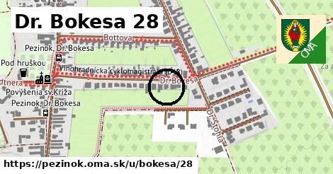 Dr. Bokesa 28, Pezinok